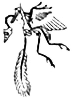 Eichstatt specimen of Archaeopteryx