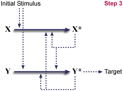 clotting pathway diagram. common.