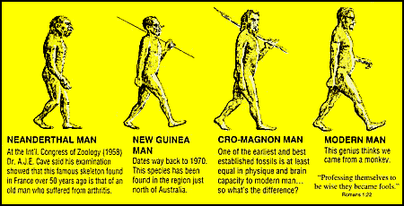 Neanderthal Man, New Guinea Man, Cro-Magnon Man, Modern Man