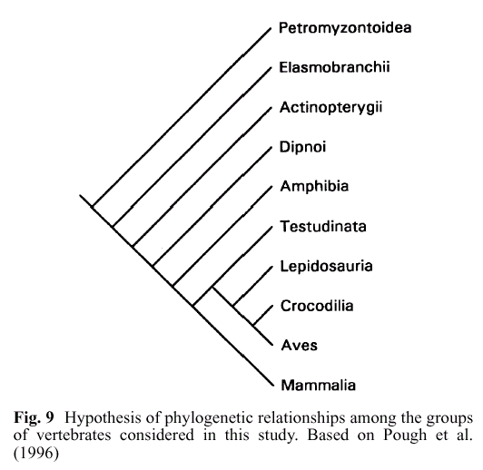 Richardson et al. Fig. 9